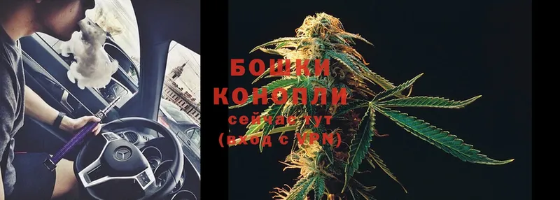 купить  сайты  Костомукша  Каннабис OG Kush 